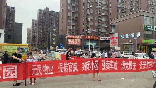 唐山事情爆料最新,真相与反思交织的街头暴力事件